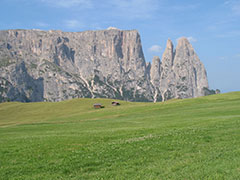 Ausflugsfahrten