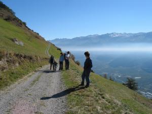 Guided mountain walks and summit tours