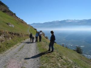 Wandern Vinschgau