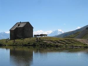 Wandern Vinschgau