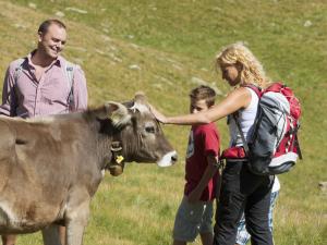 Wandern Vinschgau