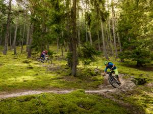 Vacanze in bici