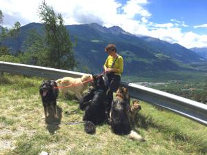 Holidays with dog