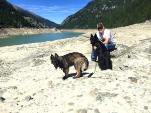Holidays with dog