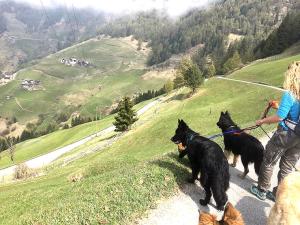 Urlaub Hund Goldrain Vinschgau