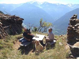 Urlaub Hund Goldrain Vinschgau