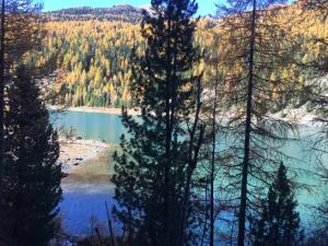 Impressionen Obkircher Goldrain