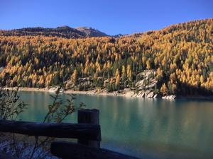 Impressionen Obkircher Goldrain
