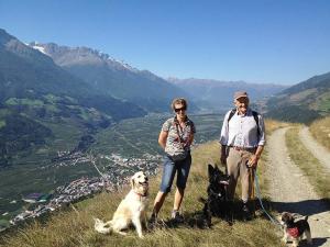 Holidays with dog