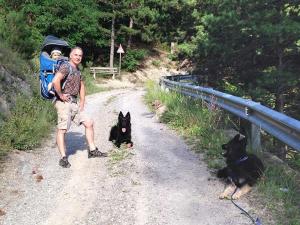Holidays with dog